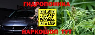 эйфоретик Обь